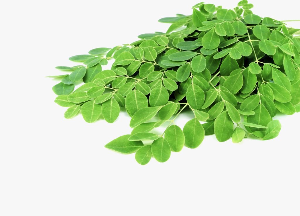 What Happens When You Drink Moringa Leaves Juice Daily